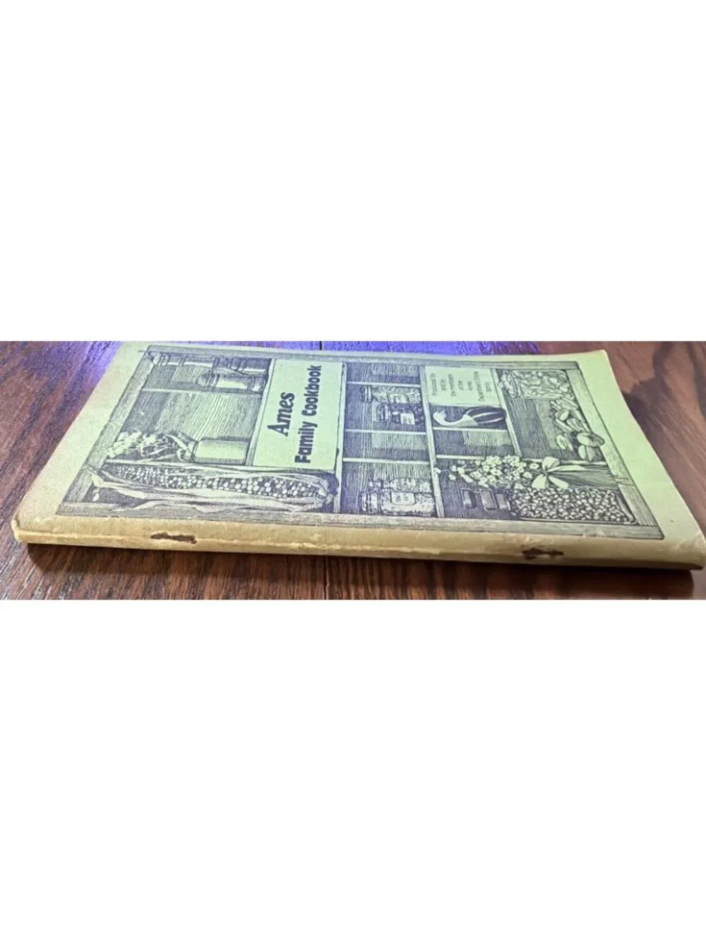 Vtg AMES Family‎ Cookbook ~ 2nd Edition 1983